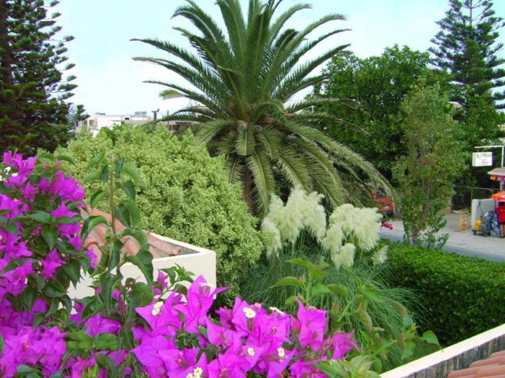 Julies Apartments Kokkini Hani Kültér fotó